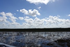 usa-florida-everglades-13