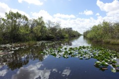 usa-florida-everglades-17