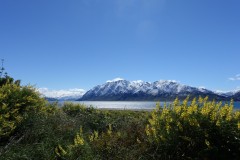 neuseeland-fox-glacier-02