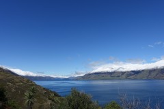 neuseeland-fox-glacier-03