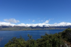 neuseeland-fox-glacier-04
