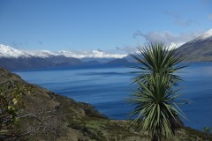neuseeland-fox-glacier-05