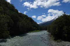 neuseeland-fox-glacier-07