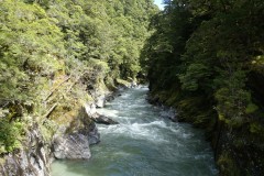 neuseeland-fox-glacier-09