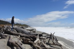 neuseeland-fox-glacier-13