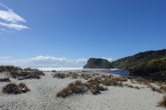 neuseeland-fox-glacier-17