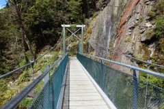 neuseeland-fox-glacier-19