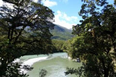 neuseeland-fox-glacier-20