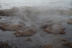 chile-geysers-del-tatio-11