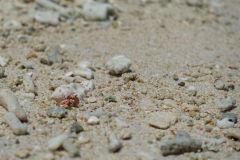 DSC02580_small