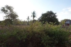 DSC02593_small
