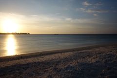 DSC02609_small