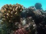 Huahine Schnorcheln