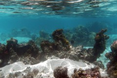 französisch-polynesien-huahine-sofitel-beach-12