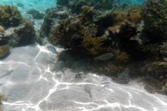 französisch-polynesien-huahine-sofitel-beach-13