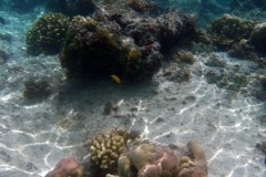 französisch-polynesien-huahine-sofitel-beach-14