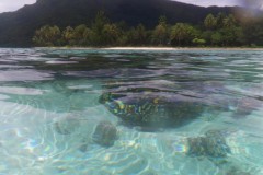 französisch-polynesien-huahine-sofitel-beach-21