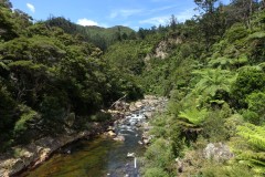 neuseeland-karangahake-gorge-02