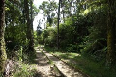 neuseeland-karangahake-gorge-03