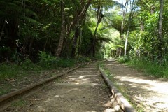 neuseeland-karangahake-gorge-05
