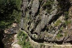 neuseeland-karangahake-gorge-08