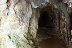 neuseeland-karangahake-gorge-12