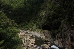 neuseeland-karangahake-gorge-13