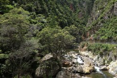 neuseeland-karangahake-gorge-14