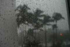 borneo-04