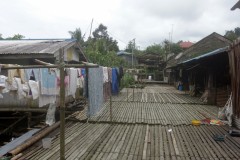 borneo-17