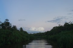 kumai-19