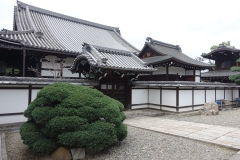 DSC02288_small