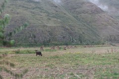 peru-machu-picchu-03