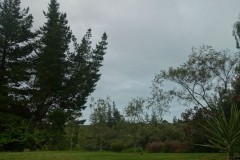 neuseeland-mapua-07