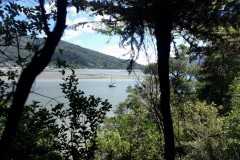 marlborough-sounds-02
