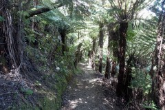 marlborough-sounds-03