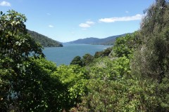 marlborough-sounds-04