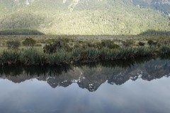 neuseeland-milford-sound-06