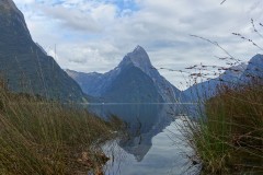 neuseeland-milford-sound-14