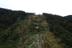 neuseeland-milford-sound-19