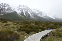 neuseeland-mount-cook-10