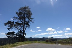 ohakune-02