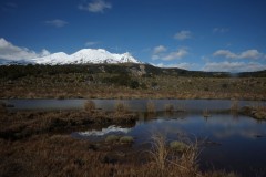 ohakune-06