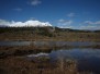 Ohakune