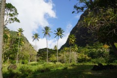 sailing-caribbean-saint-lucia-17