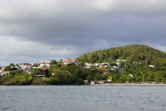 sailing-caribbean-saint-lucia-20