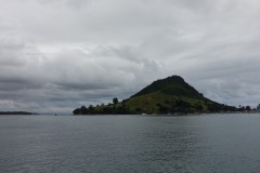neuseeland-tauranga-dolphin-swim-02-1