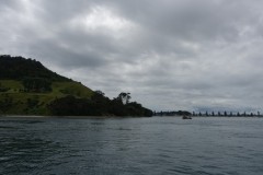 neuseeland-tauranga-dolphin-swim-12