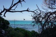 sailing-caribbean-tobago-cays-13