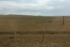 Immer weiter kommt man zur Wüste Gobi.